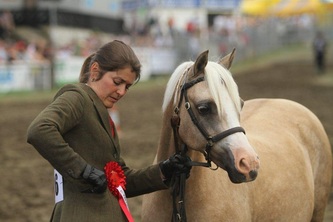 The Gary Owens Story Book Page 10 - Mason Gang Stalking, Targeted Individual, Freemason Gangstalking, Voice To skull, V2K